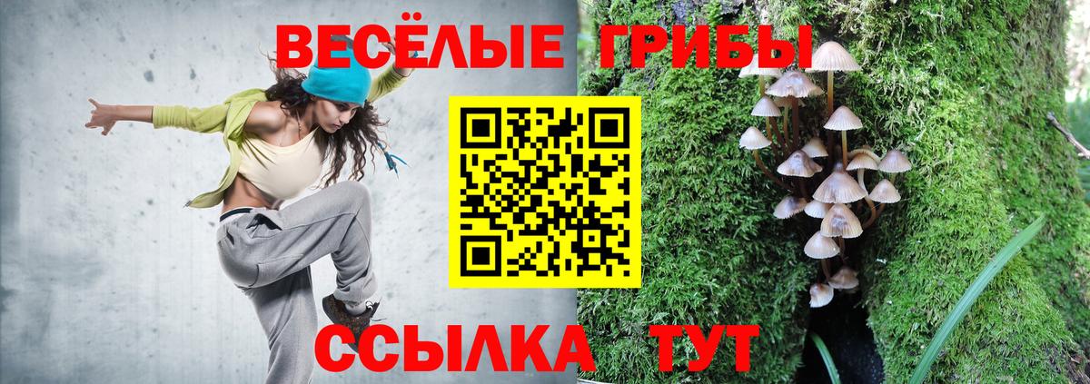 Галлюциногенные грибы Psilocybine cubensis  Вход с VPN  Галлюциногенные грибы мицелий  Щёкино 