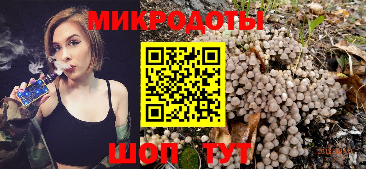 Псилоцибиновые грибы мицелий Щёкино